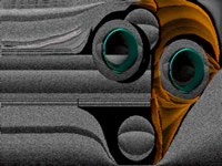 Skull Of Granite And Satin