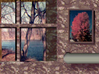 Window On A Cold Winter